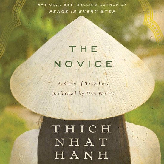 The Novice - cover