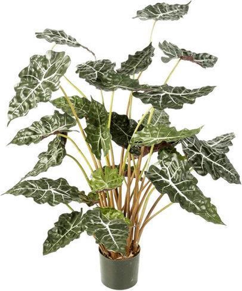 Plante verte Oreilles d elephant artificielles en pot H 25 cm du site