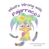 What's Wrong with Pajarraco?