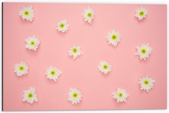 Dibond - Kleine Madeliefjes op Roze Achtergrond - 60x40cm Foto op Aluminium (Wanddecoratie van metaal)