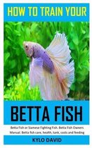 How to Train Your Betta Fish