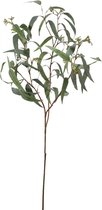 Viv! Home Luxuries Eucalyptus - zijden bloem - groen - 90cm - topkwaliteit