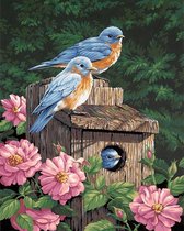 Diamond Painting Volwassenen - Blauwe vogel - fotoformaat 40x50cm - Volledige dekking - Vierkante steentjes - Blue bird - Dieren