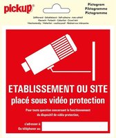 Pickup Pictogram 15x15 cm - Site sous videoprotection