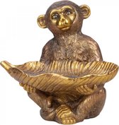 Aapje met schelp in handen bruin / goud H36cm x B38cm