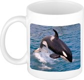 Dieren grote orka foto mok 300 ml - cadeau beker / mok orka walvissen liefhebber
