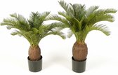Kunstplant Cycas palm - 65 cm
