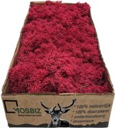 MosBiz Rendiermos Crimson per 500 gram voor decoraties en mosschilderijen