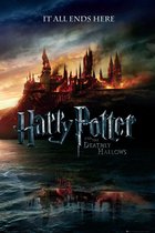 Harry Potter and the Deathly Hallows poster - film - Ron - Hermione - 61 x 91.5 cm