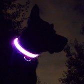 Roze LED halsband Maat L | honden halsband met verlichting | Licht in donker | 3 standen | LED hondenhalsband | LED hondenhalsband | LED hondenriem | LED hondenriem | Led hondentui