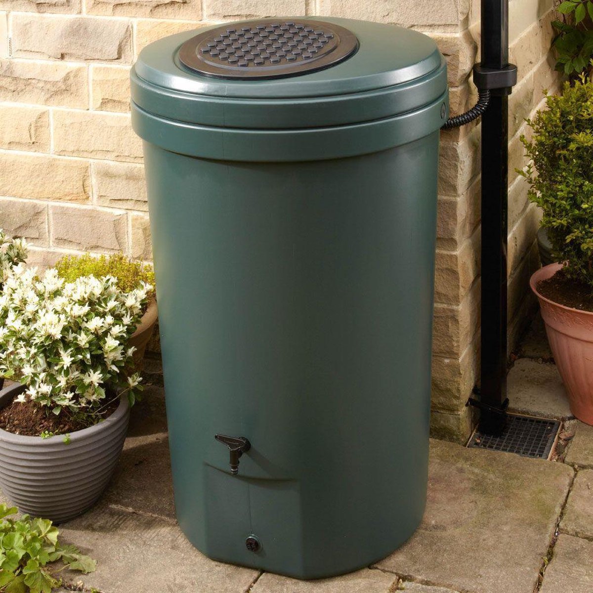 Harcostar Récupérateur XXL 350 liter avec couvercle et robinet
