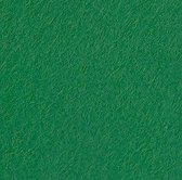 4770-191 Hobbyvilt 20x30cm groen 10vel - 19