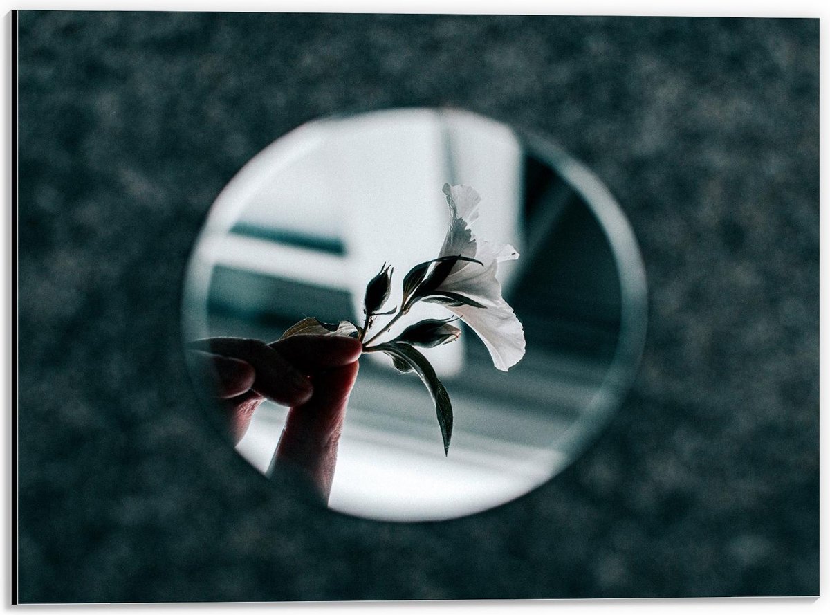 Dibond - Witte Bloem in Spiegel - 40x30cm Foto op Aluminium (Met Ophangsysteem)