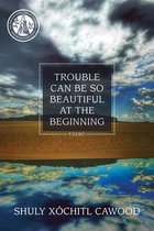 Trouble Can Be So Beautiful at the Beginning