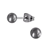 Aramat jewels ® - Zilverkleurige bolletjes oorbellen titanium 5mm