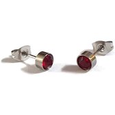 Aramat jewels ® - Zweerknopjes oorbellen rond rood zilverkleurig chirurgisch staal 5mm
