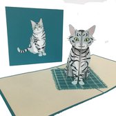pop-up poes kaart wenskaart ansichtkaarten verjaardagskaart