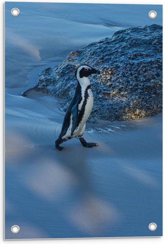 Tuinposter – Pinguïn in de Sneeuw   - 40x60cm Foto op Tuinposter  (wanddecoratie voor buiten en binnen)