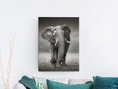 Kimano - Schilderij - Olifant Zwarte Achtergrond- -zwart Wit-op Gespannen - Zwart En Wit - 75 X 50 Cm