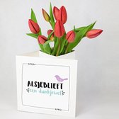 Bloomincard Tulip - Dankjewel - bloemen en boeketten - Verse Tulpen met unieke vaas - Brievenbusbloemen - Bedankje sturen met Tulpen en speciale kaart die je om kunt toveren tot va