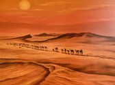 Foto print kamelen colonne in woestijn 60x70cm - wanddecoratie woonkamer / slaapkamer