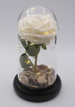 Roos in glazen stolp met LED (batterijen incl.) - Valentijn - Liefde Cadeau - Beauty and the Beast roos - LED lights - decoratie - cadeau