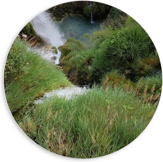 Forex Wandcirkel - Grassen met Water - 60x60cm Foto op Wandcirkel (met ophangsysteem)