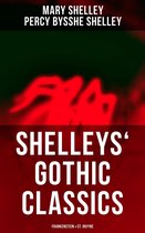 Shelleys' Gothic Classics: Frankenstein & St. Irvyne