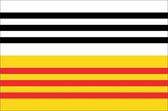 Vlag gemeente Loon op Zand 70x100 cm