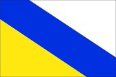 Vlag gemeente Ommen 200x300 cm