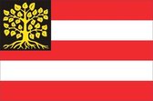 Vlag gemeente 's-Hertogenbosch 70x100 cm