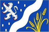 Vlag gemeente Haarlemmermeer 100x150 cm