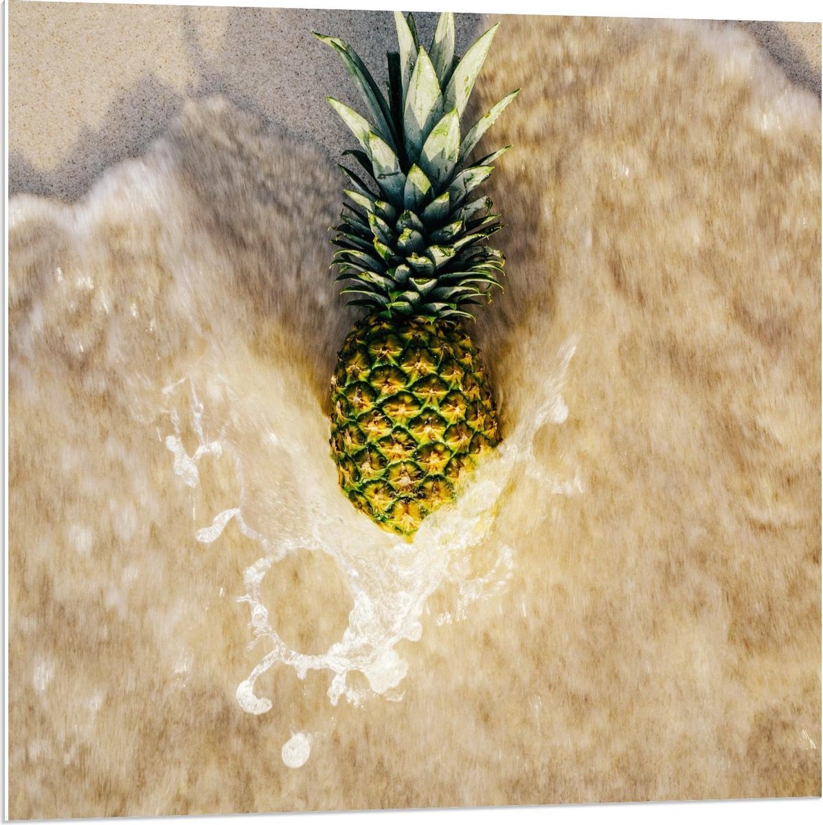 Forex - Ananas in Zand met Zeewater - 80x80cm Foto op Forex