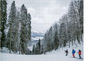 Skiën in de sneeuw puzzel 500 stukjes