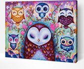 Schilderen Op Nummer Volwassenen DIY Paint By Number Compleet Hobby Pakket op Frame met Vernis - ®Arty Bee - Arty Owls 40x50cm