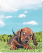 Muismat Teckel - Prachtige lucht boven een schattige Teckel puppy muismat rubber - 19x23 cm - Muismat met foto