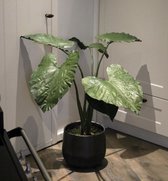 Kunstplant - Alocasia XL - 125cm hoog - Hoge kwaliteit