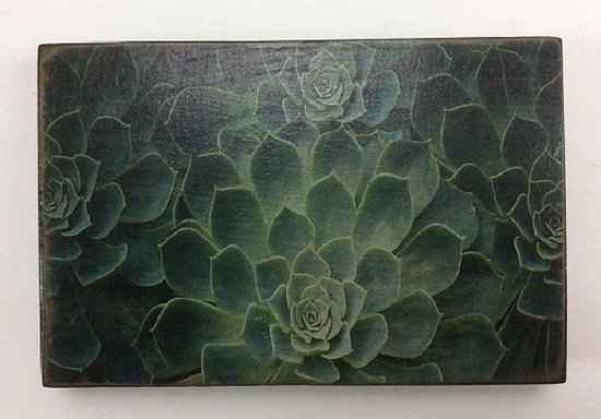 Afbeeldingsblok 10x15 cm Vetplant Echeveria