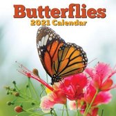 Butterflies 2021 Wall Calendar