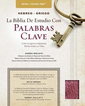The Hebrew-Greek Key Word Study Bible Spanish Edition