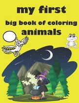 my first big book of coloring animals