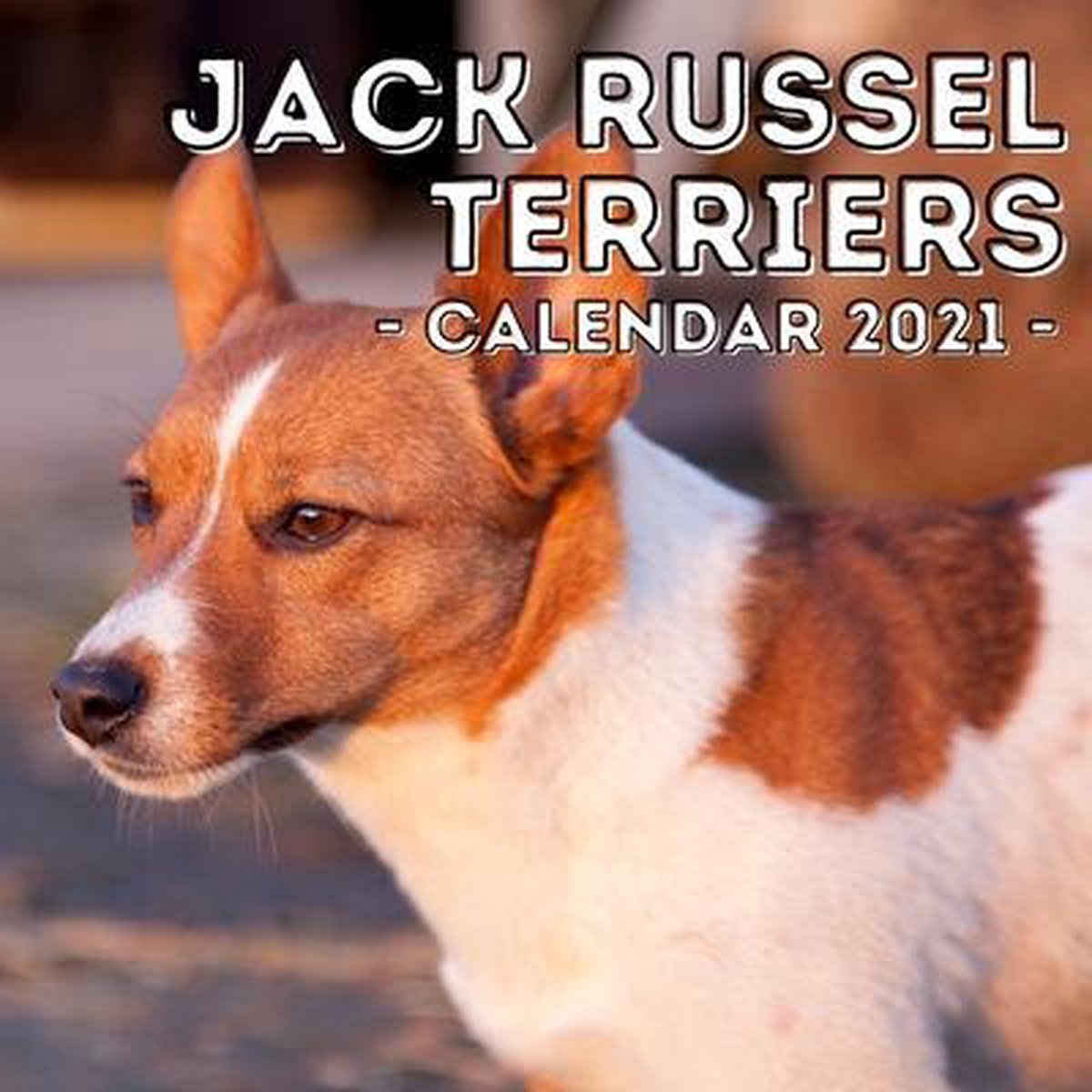 Jack Russel Terriers - Outrageous Afternoon Press