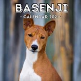 Basenji