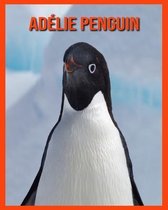 Adelie Penguin