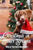 Christmas In Honey Springs Who Is The Real Murderer