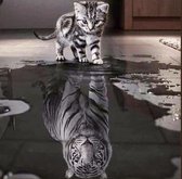 Diamond Painting - Kitten naar tijger - Seos shop