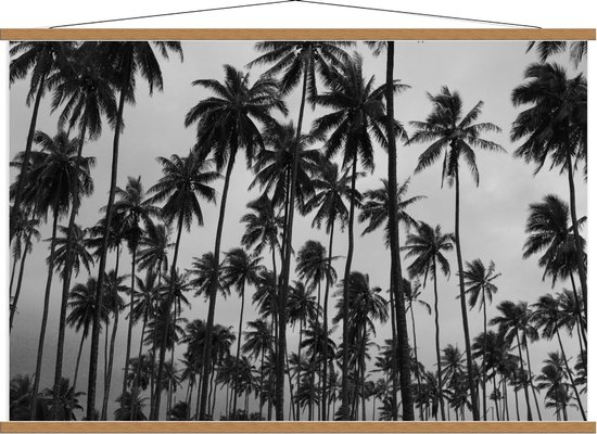 Schoolplaat – Palmbomen in de Hoogte Zwart - Wit - 120x80cm Foto op Textielposter (Wanddecoratie op Schoolplaat)