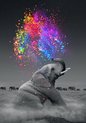 foto van Rubye® Diamond Painting Volwassenen - Diamond Painting Kinderen - Kleurrijke Olifant - 30x40cm