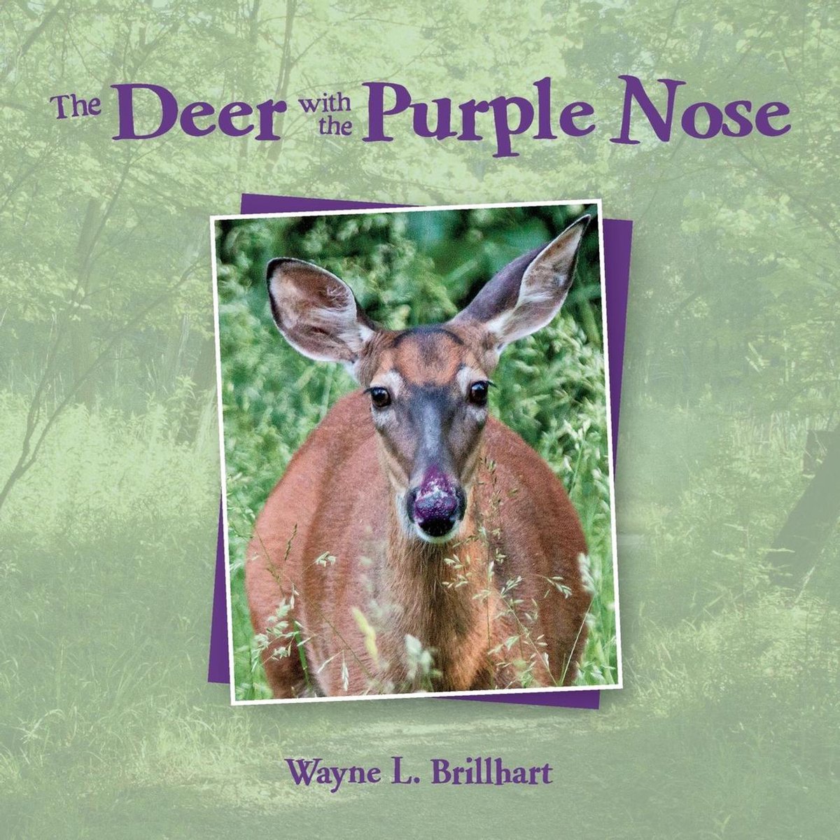 A Rusty & Purdy Backyard Bird Adventure - The Deer with the Purple Nose - Wayne L Brillhart