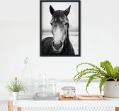 Poster Grey Horse (Zwart-Wit) - 30x40 cm Met Fotolijst - Natuur Poster - WALLLL
